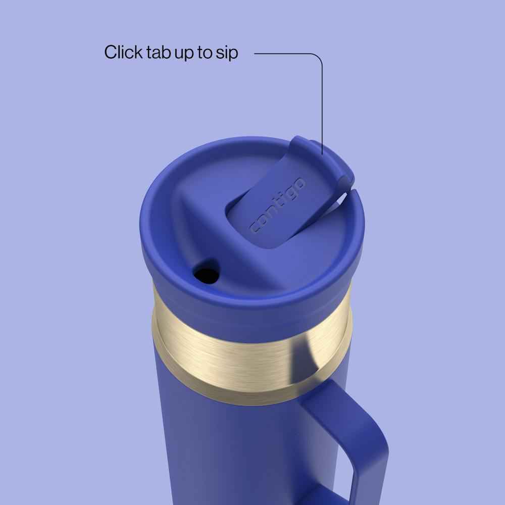 20 oz SnapSeal™ Bottle w/Handle - Wild Indigo Champagne