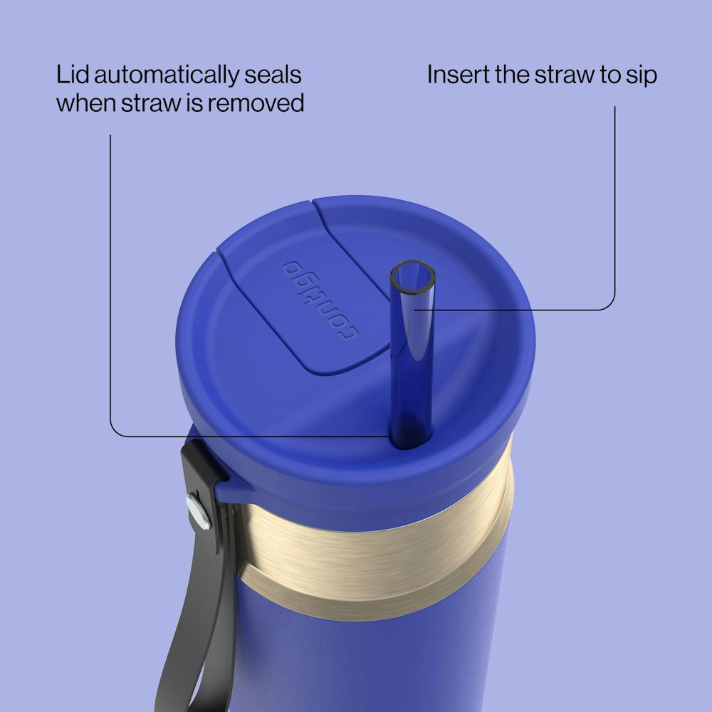 24oz SnapSeal™ Bottle U3 - Wild Indigo Champagne